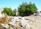 thassos ipsarion-trail-running 018  Ο Σιδερίδης Νίκος, πέντε χιλιόμετρα από τον τερματισμό, στο Θεολόγο Θάσου